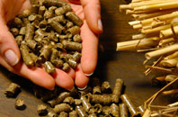 free Breascleit biomass boiler quotes